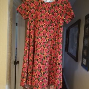 LulaRoe Carly dress